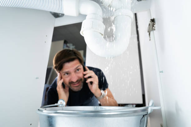 Best Boilers & Radiators  in Bernie, MO