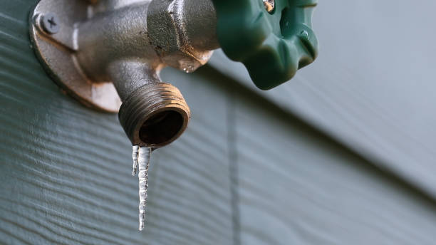 Best Sewer Line Repair  in Bernie, MO