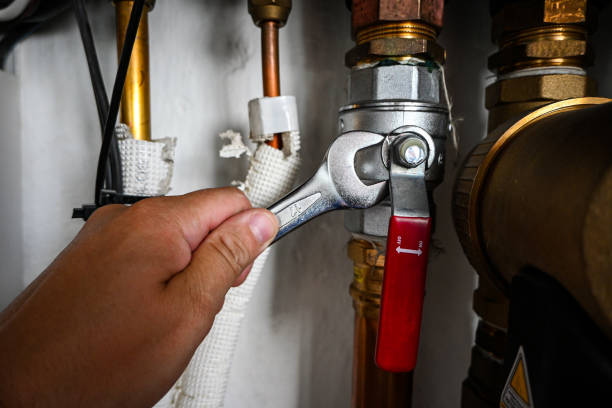 Best Clogged Drain Plumber  in Bernie, MO